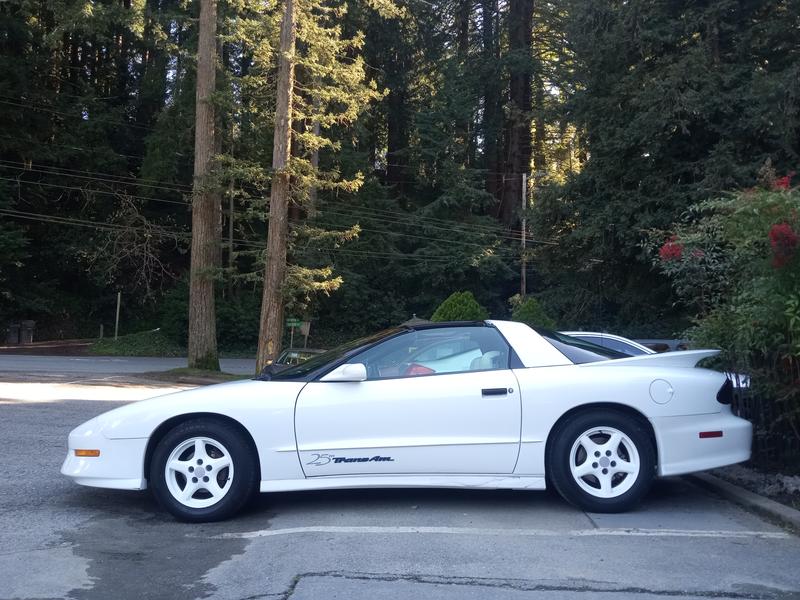 pontiac firebird 1994 Image - 35268876