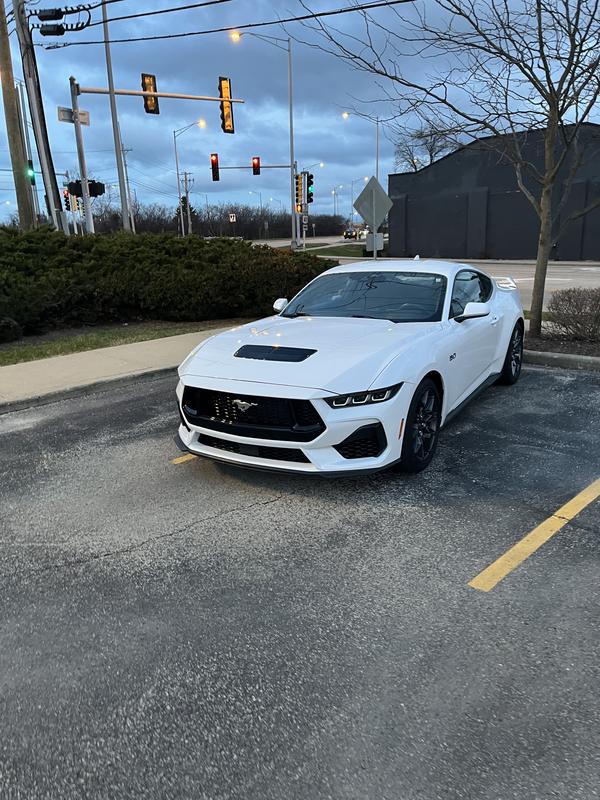 ford mustang 2025 Image - 41263470
