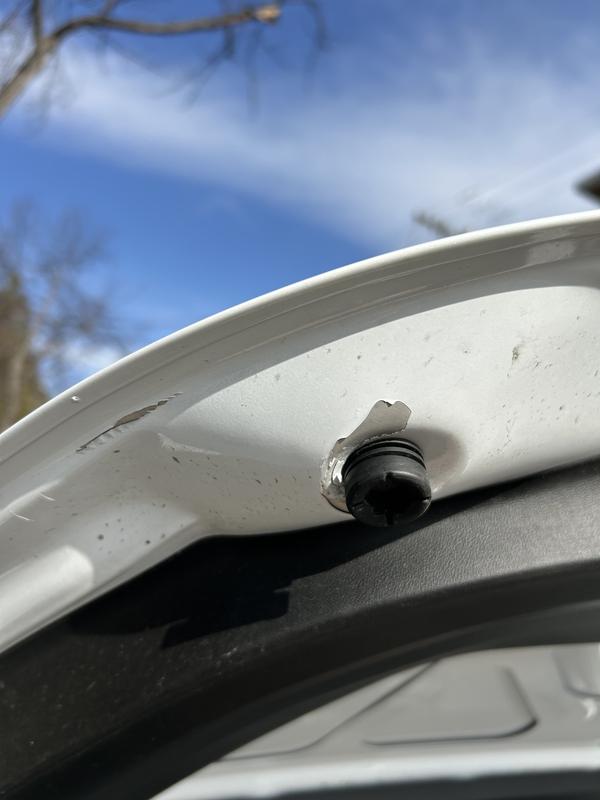 tesla model-y 2022 Image - 39968289