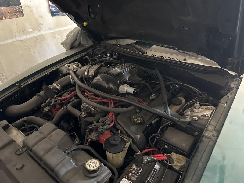 ford mustang 2001 Image - 35866460