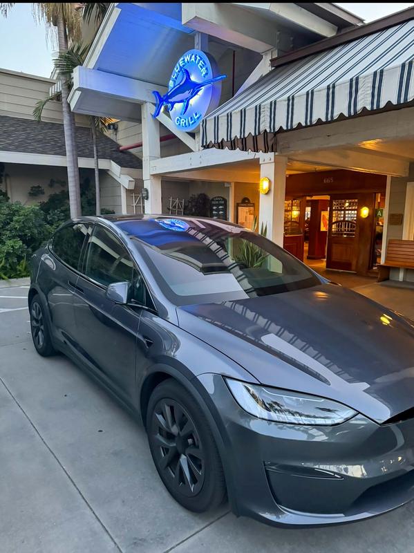 tesla model-x 2024 Image - 33623609