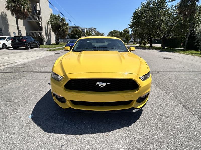 ford mustang 2016 Image - 41344746