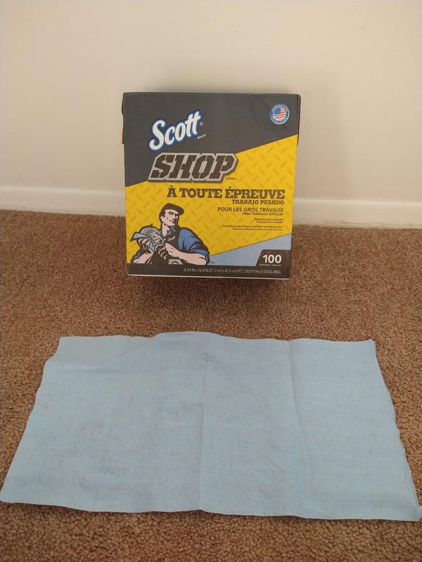 Photo - commentaire 7.