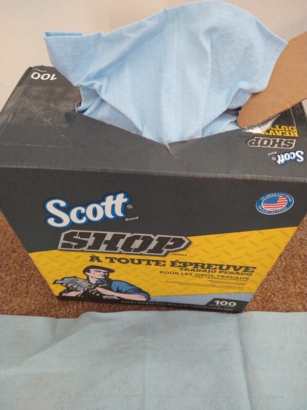 Photo - commentaire 8.