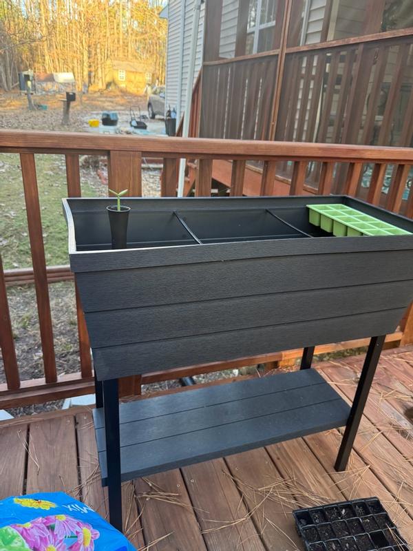 Photo - commentaire&nbsp;7.