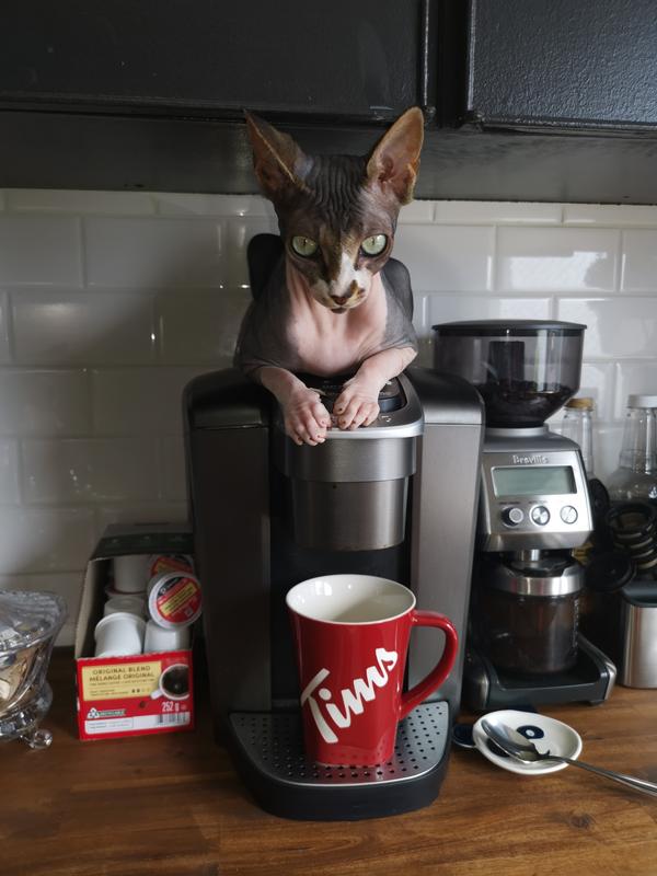Japaula-Annie loves KEURIG and Tim's Coffee