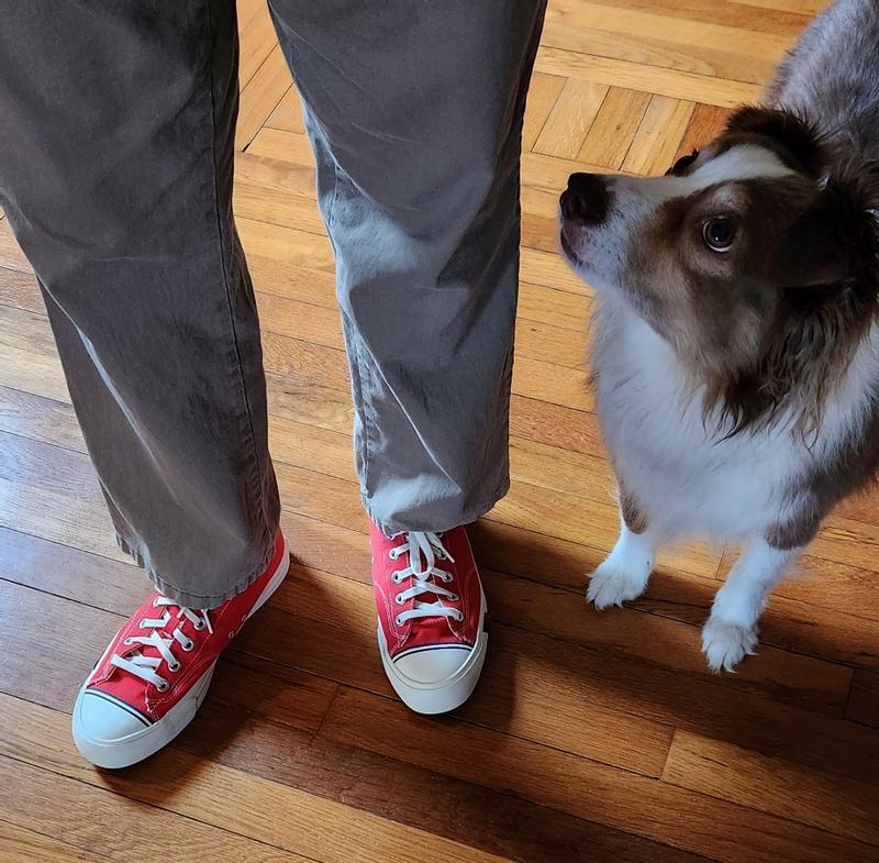 Broxo basking in Dad's coolness and good taste in footwear.