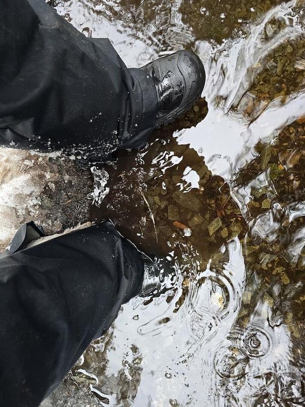 Review Thumbnail Image 0 381071856