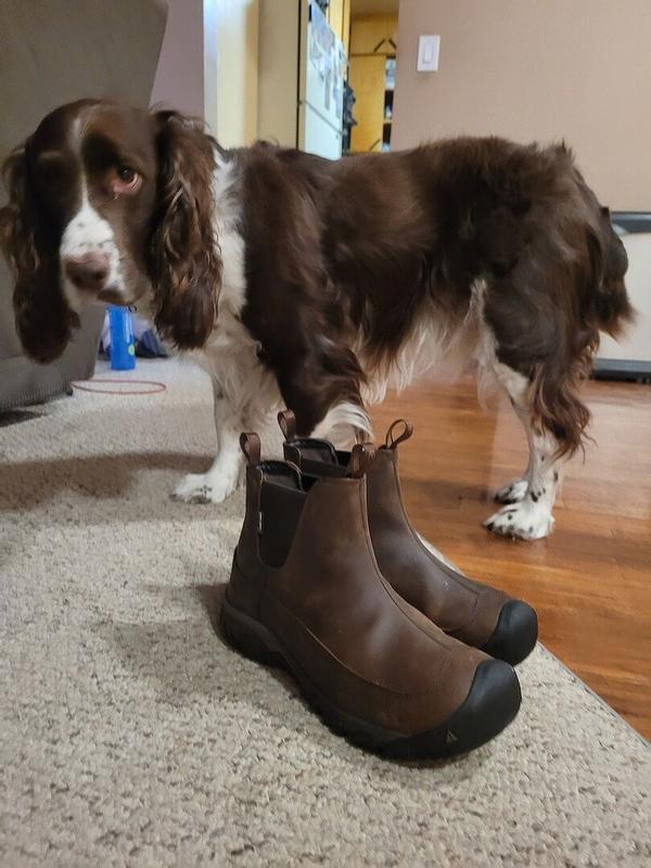 Review Thumbnail Image 0 378451338