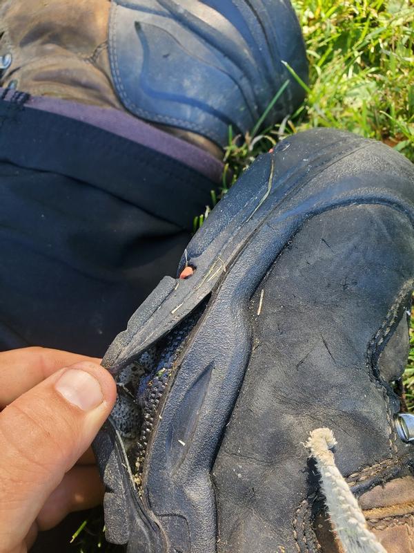 Photo submitted with review of product