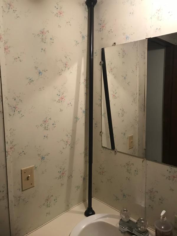 Shower rod