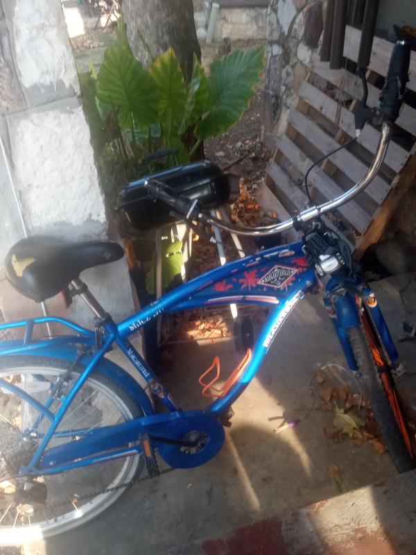 Jimmy best sale buffett bike