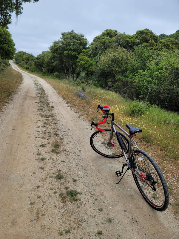 Kent eagle cheap ridge gravel bike