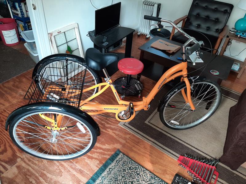 Alameda 3 best sale wheel bike