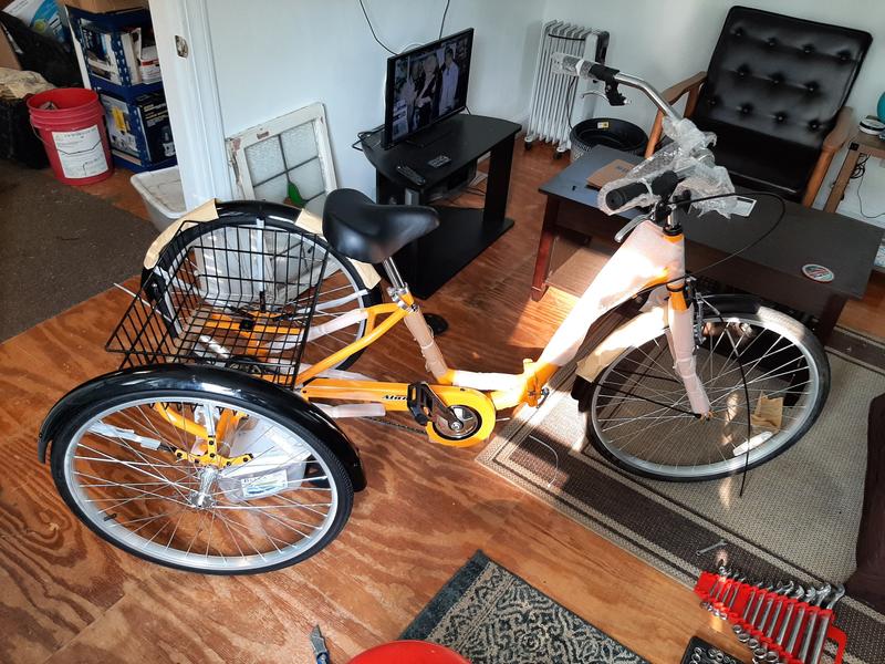 Alameda adult tricycle hot sale