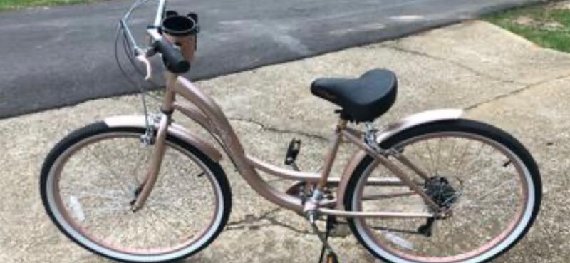 bayside rose gold bike