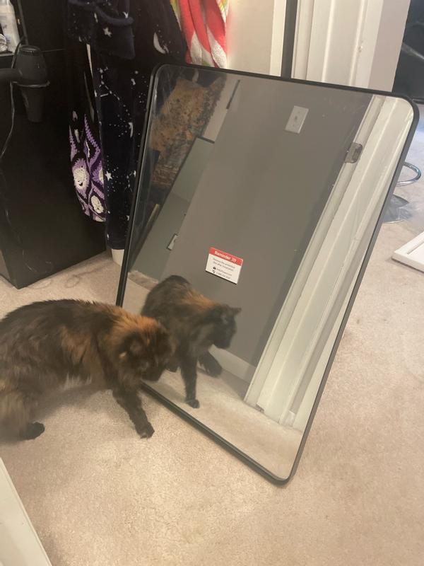 TETOTE 24x36 Inch Sliver Bathroom Vanity Mirror Tempered Glass Metal ...