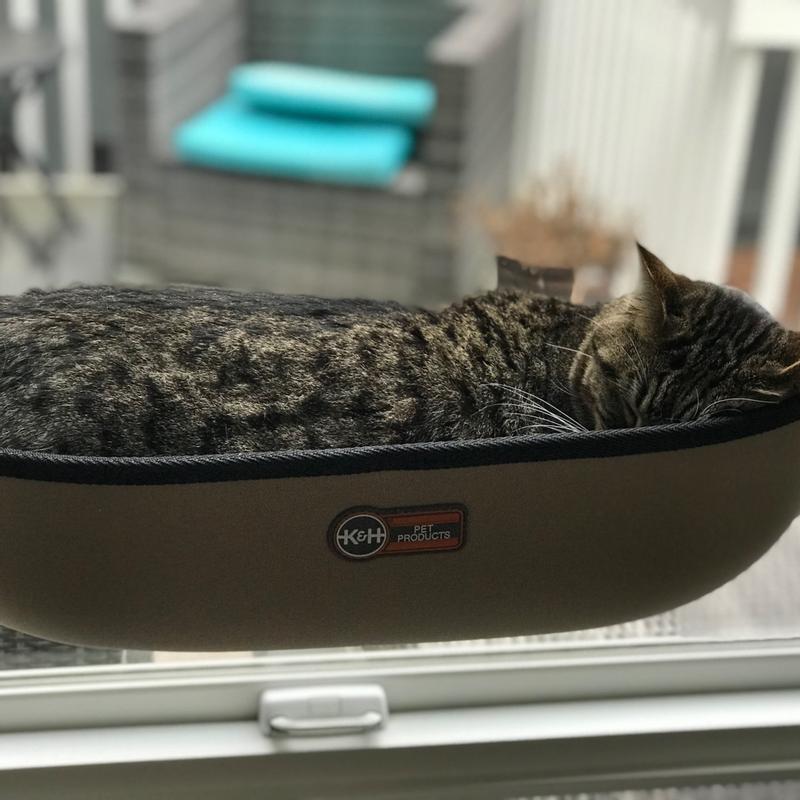 K H EZ Mount Window Bed fpr Cats K H Pet Products