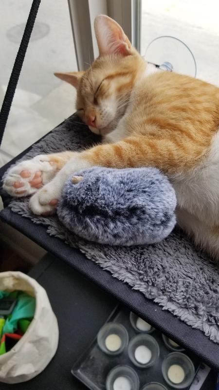 Kitty sill replacement cover online
