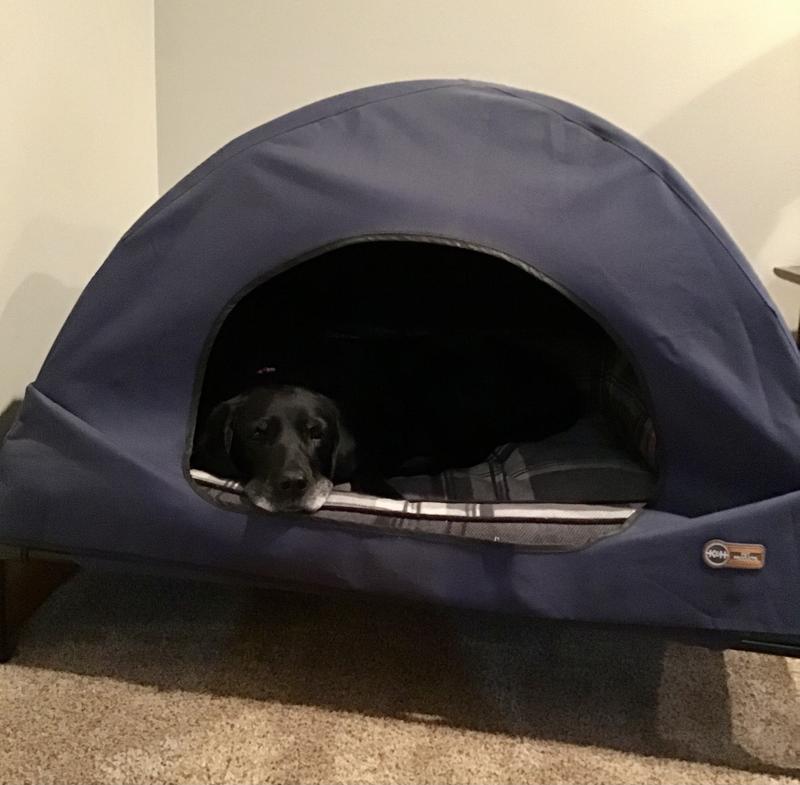 Lulu in her tent