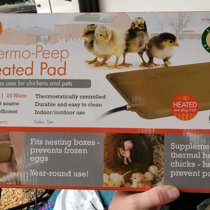 K H Thermo Peep Heated Pad K H Pet Products