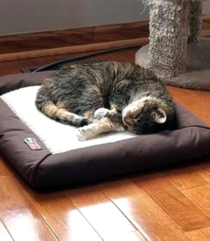K&H Deluxe LectroSoft Heated Pet Bed for Indoor & Outdoor