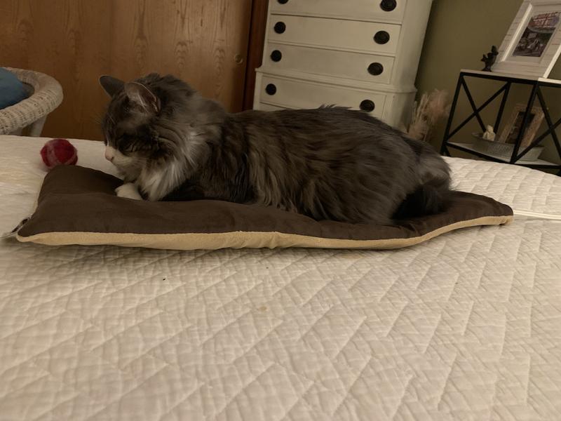 Thermo-Kitty Mat - K&H Pet Products