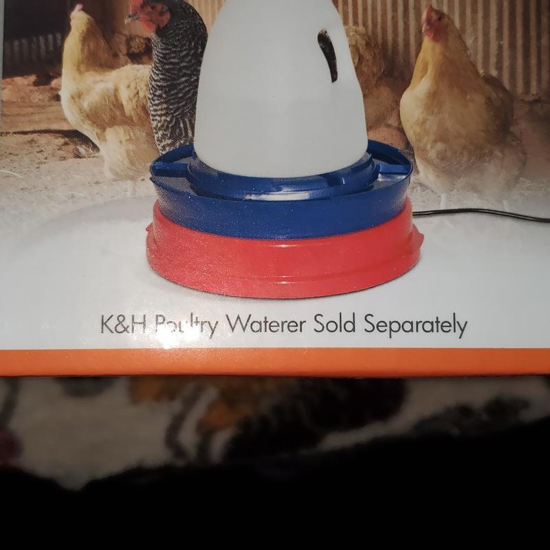 K&h poultry waterer best sale