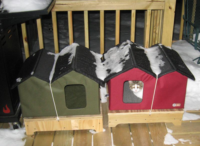 1-29-22 our heated outside cat houses with Sparky inside
