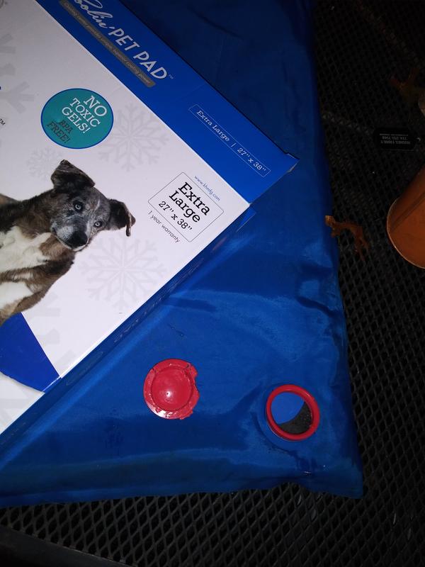 K&h cooling pad for dogs sale