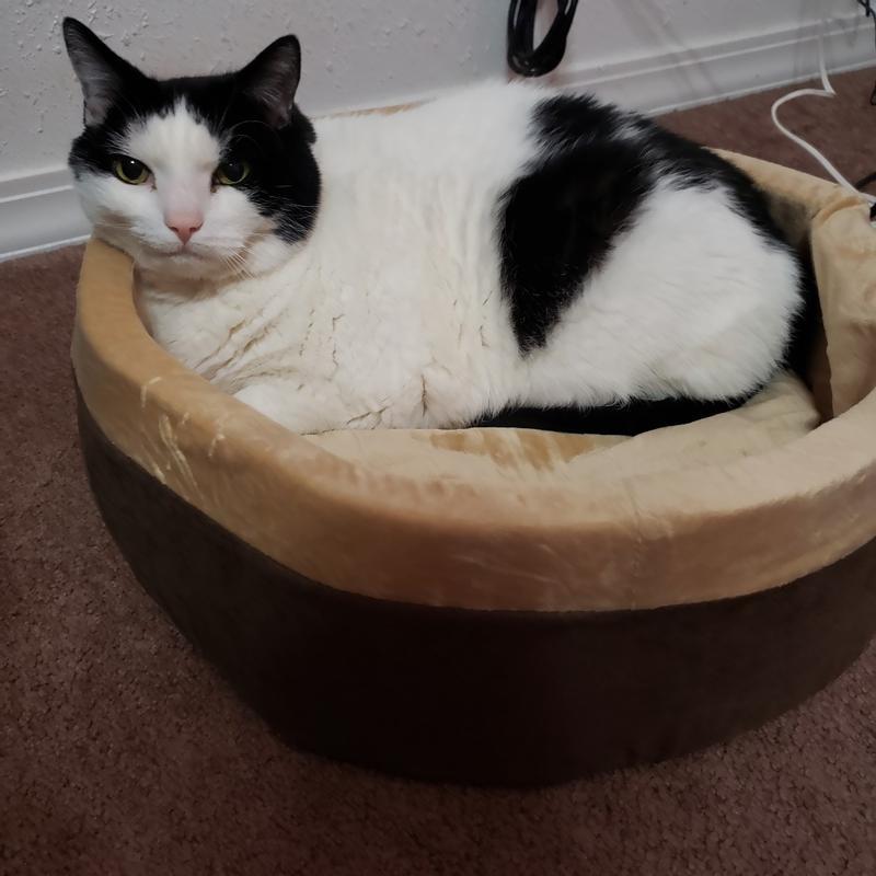 K H Thermo Kitty Bed Heated Cat Bed K H Pet Products