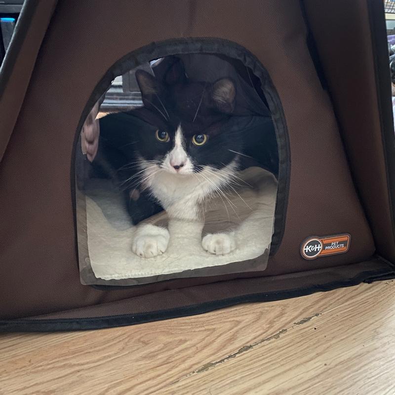 Heated a frame cat house best sale