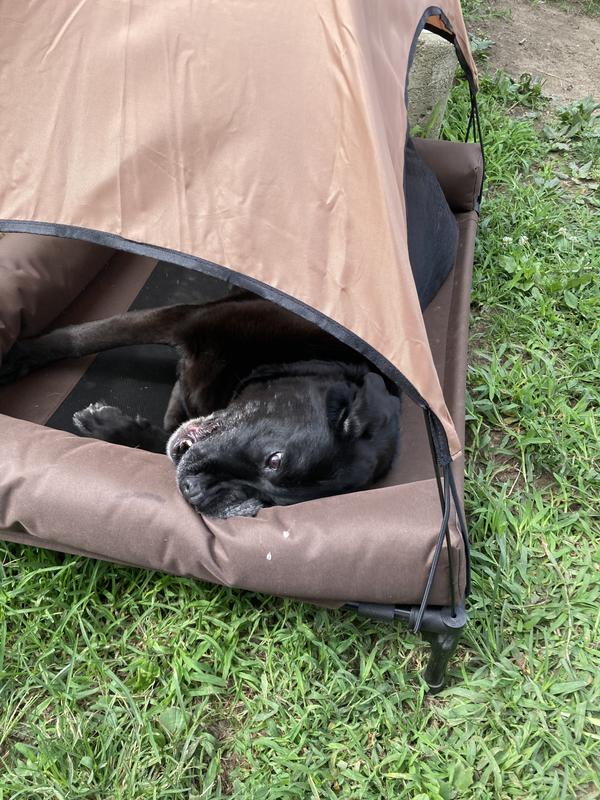 K&H Pet Products Dog Pool & Pet Bath Canopy (Pet Pool Sold Separately) Gray X-Large 50 X 32 Inches - Walmart Supplies K&H Pet Products Dog Pool & Pet Bath Canopy (Pet Pool Sold Separately) Gray X-Large 50 X 32 Inches - Walmart Supplies