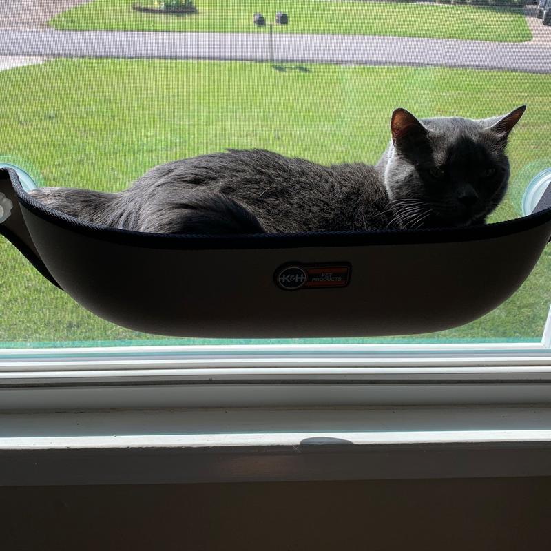 K&H EZ Mount Window Bed™ fpr Cats — K&H Pet Products