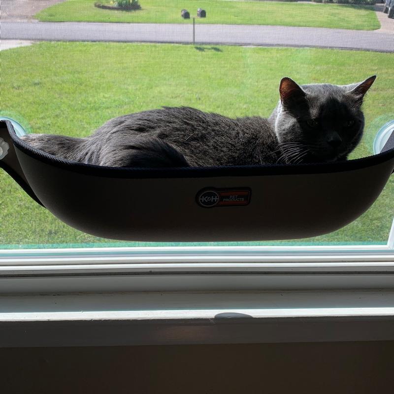 K&H EZ Mount Window Perch Bed for Cats — K&H Pet Products