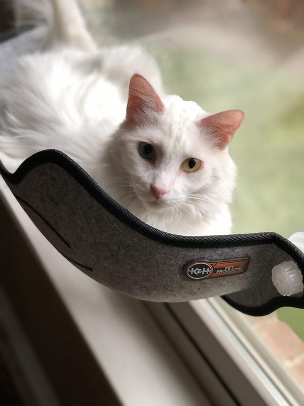 K&H EZ Mount Kittyface Window Bed Cat Perch — K&H Pet Products