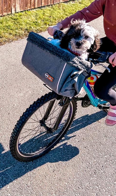 Dog basket for clearance back of bike