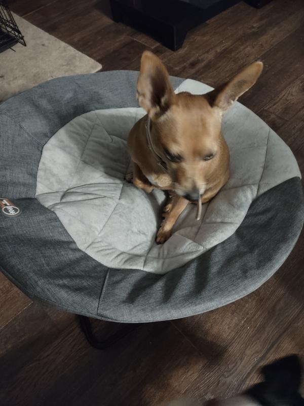 Thermatec 2024 dog bed