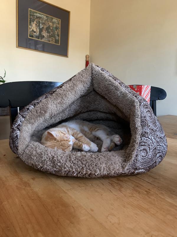 Loving her new bed