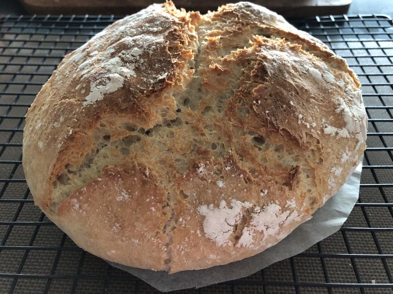 KitchenAid Bread Bowl with Baking Lid, KSM2CB5BGS at Tractor Supply Co.