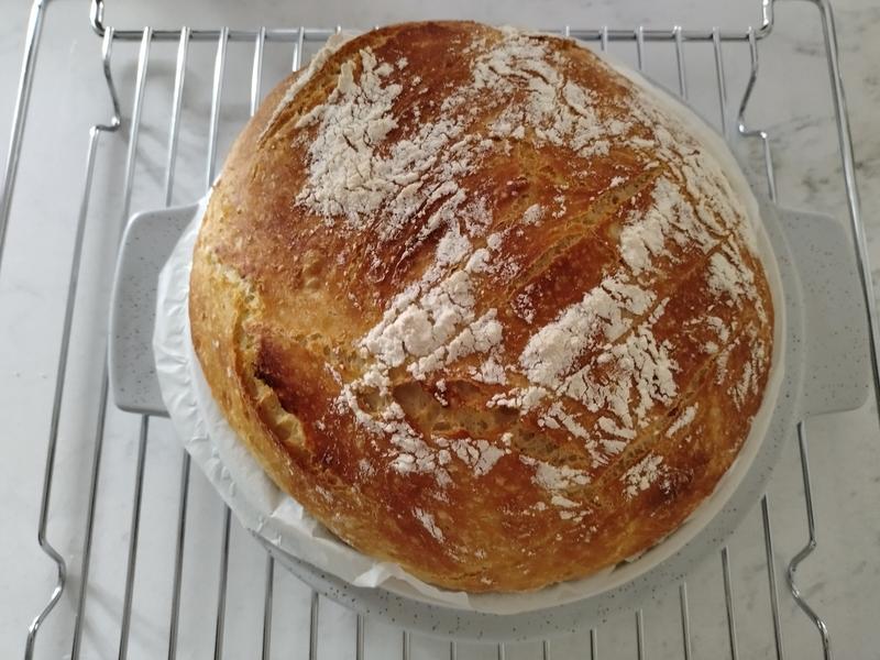 bread bowl with baking lid