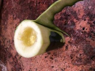 One of many disasters.