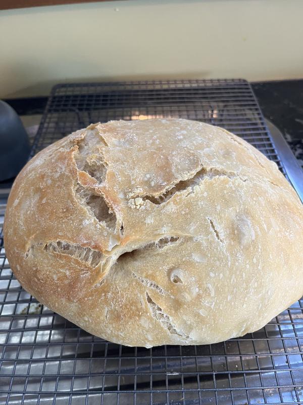 Sourdough