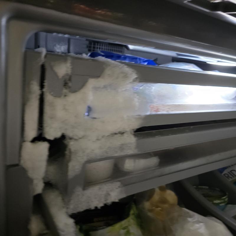 Customer photo 2