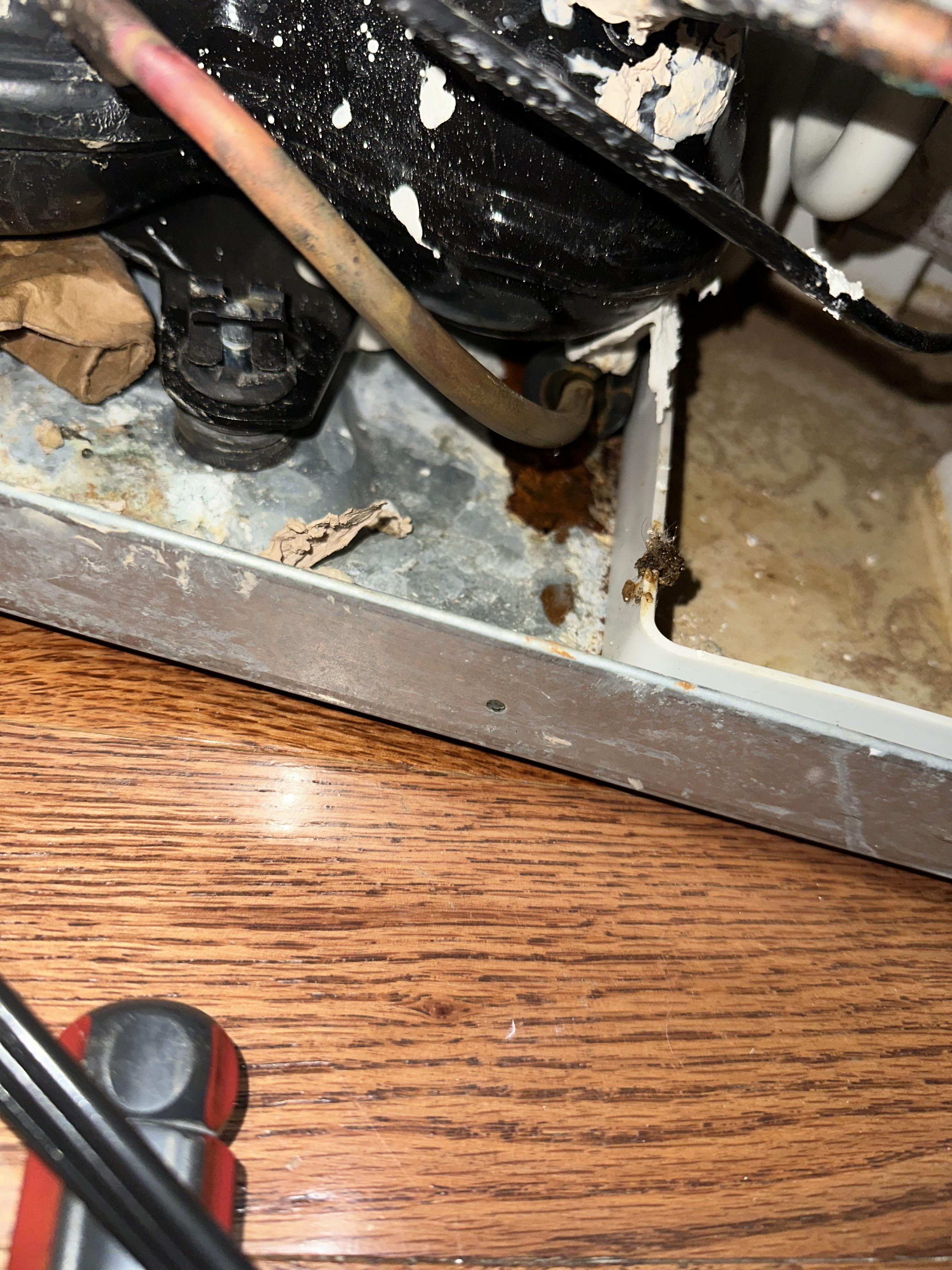 Image 3 of 6
