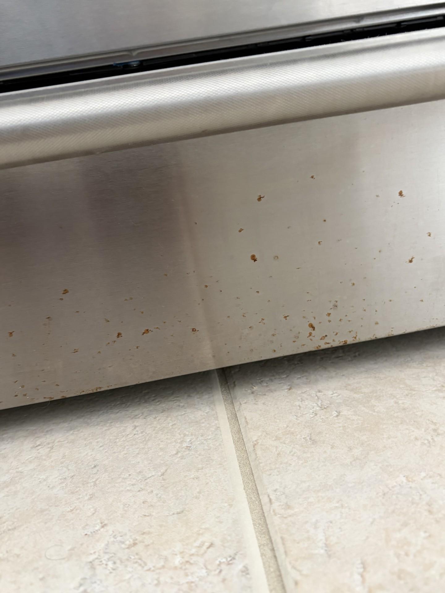 Image 2 of 2