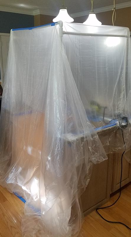 Customer photo 5 of 6. Click to open full size image.