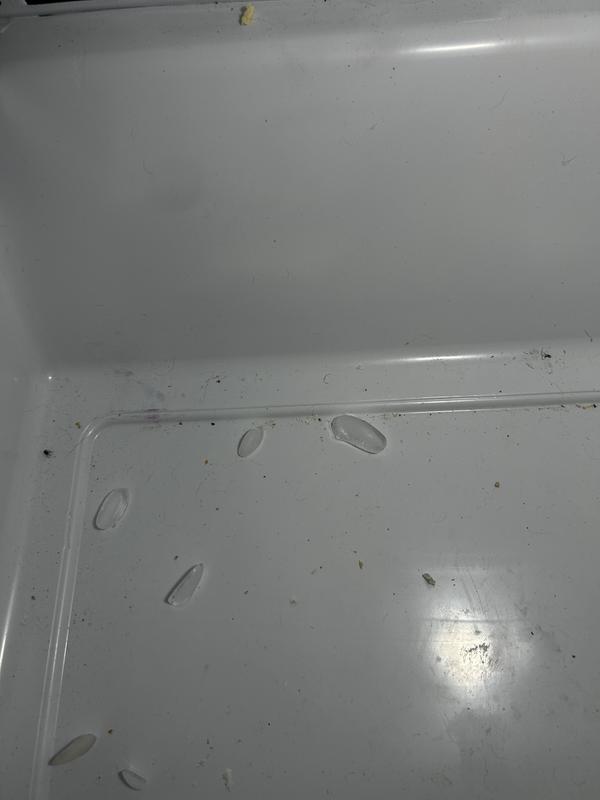 Customer photo 2 of 4. Click to open full size image.