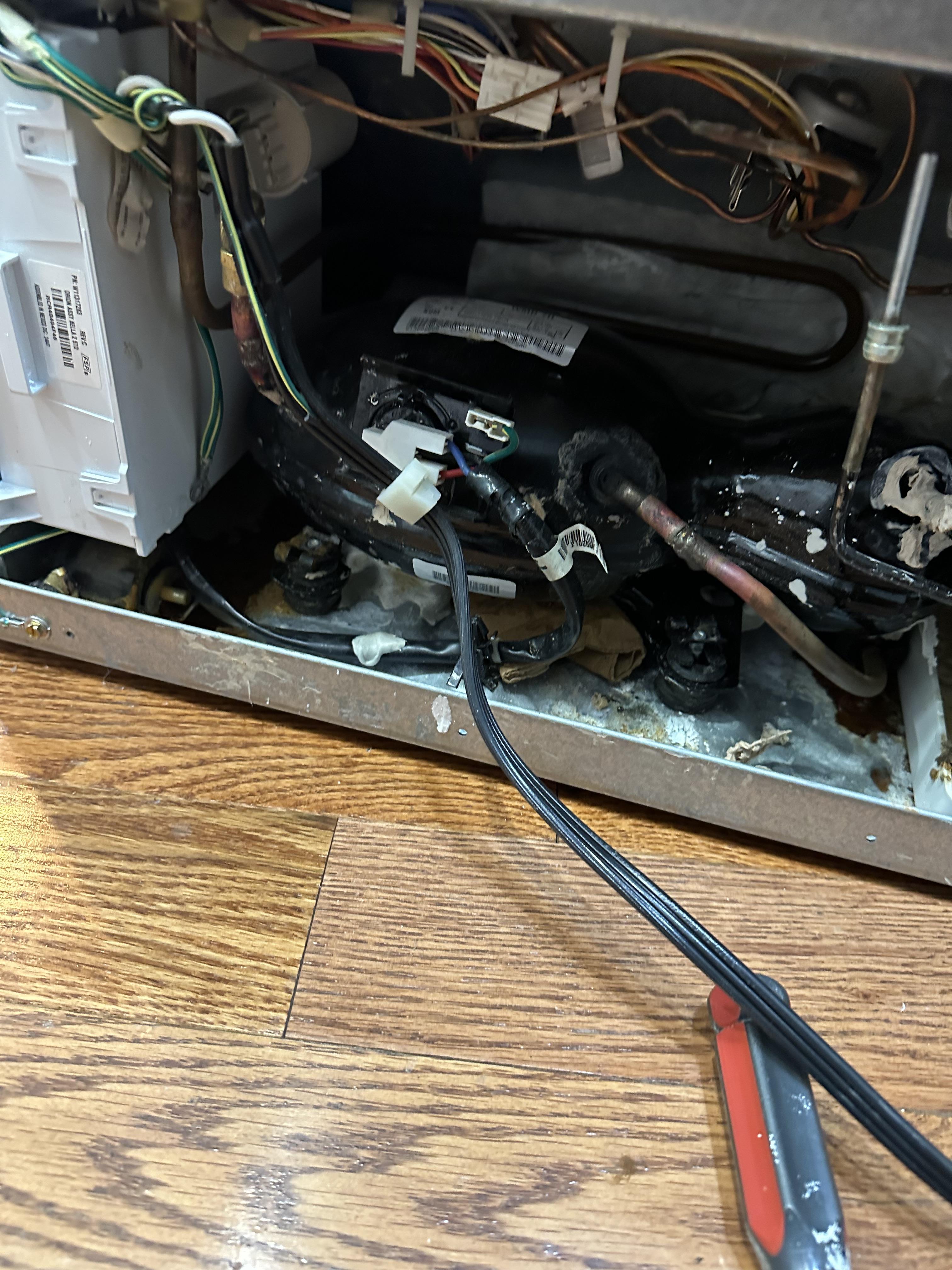 Image 5 of 6