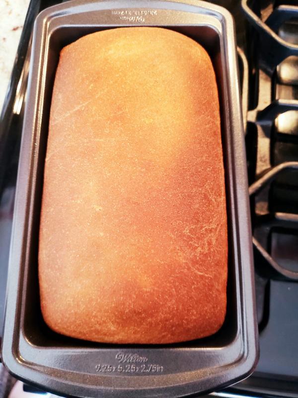 Whole Wheat Bread